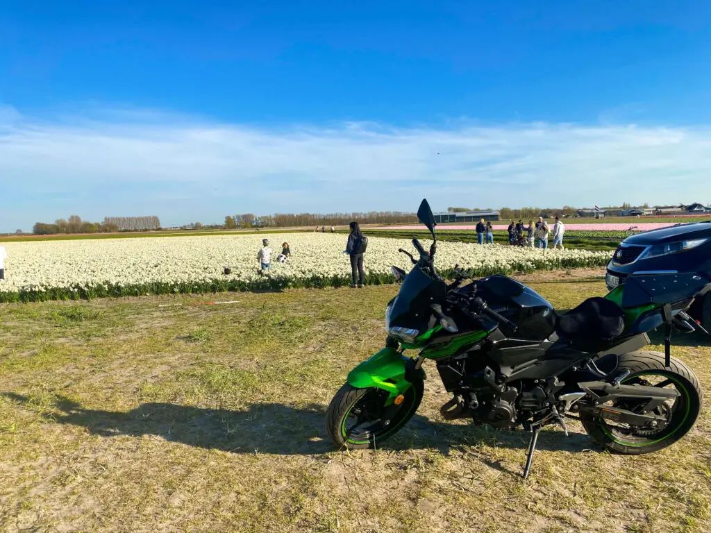 motorbike tulip fields netherlands