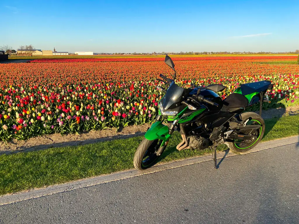 motorcycle trip tulip fields netherlands