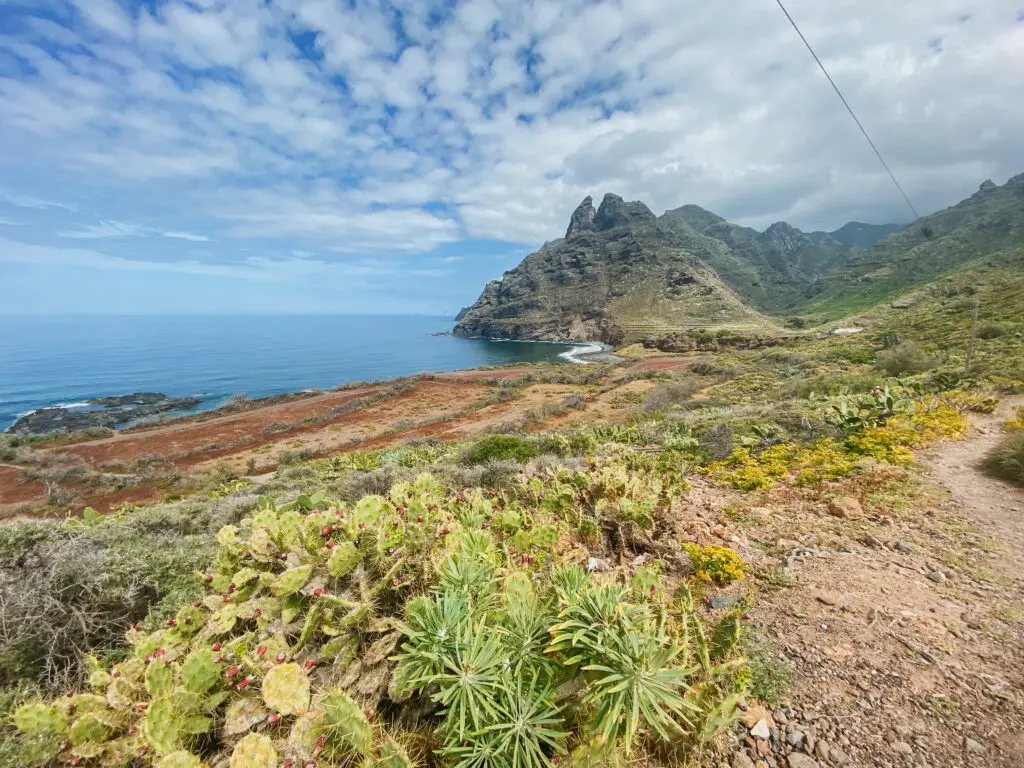tenerife island landscape